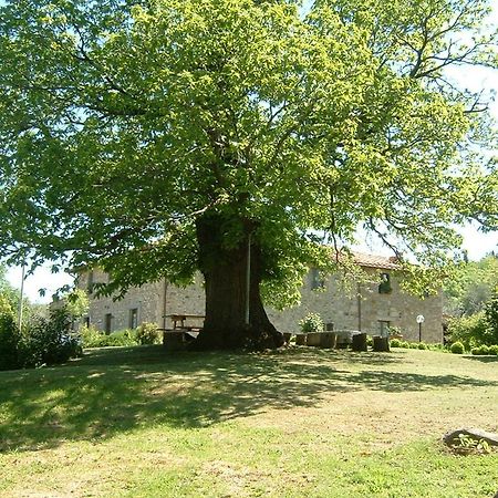 Antico Casale Pozzuolo Villa Seggiano Luaran gambar