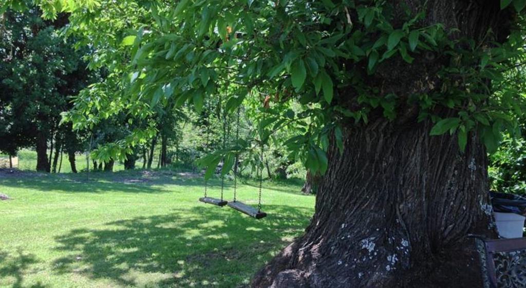 Antico Casale Pozzuolo Villa Seggiano Luaran gambar