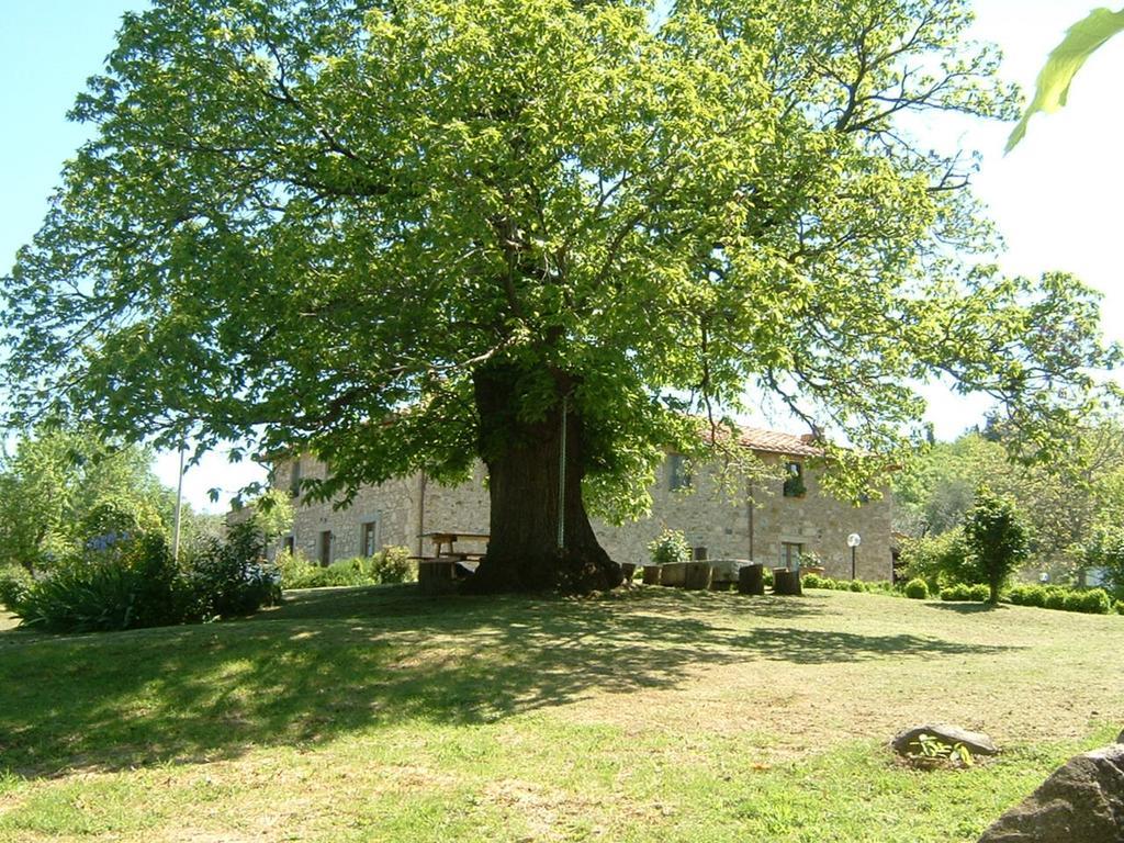 Antico Casale Pozzuolo Villa Seggiano Luaran gambar