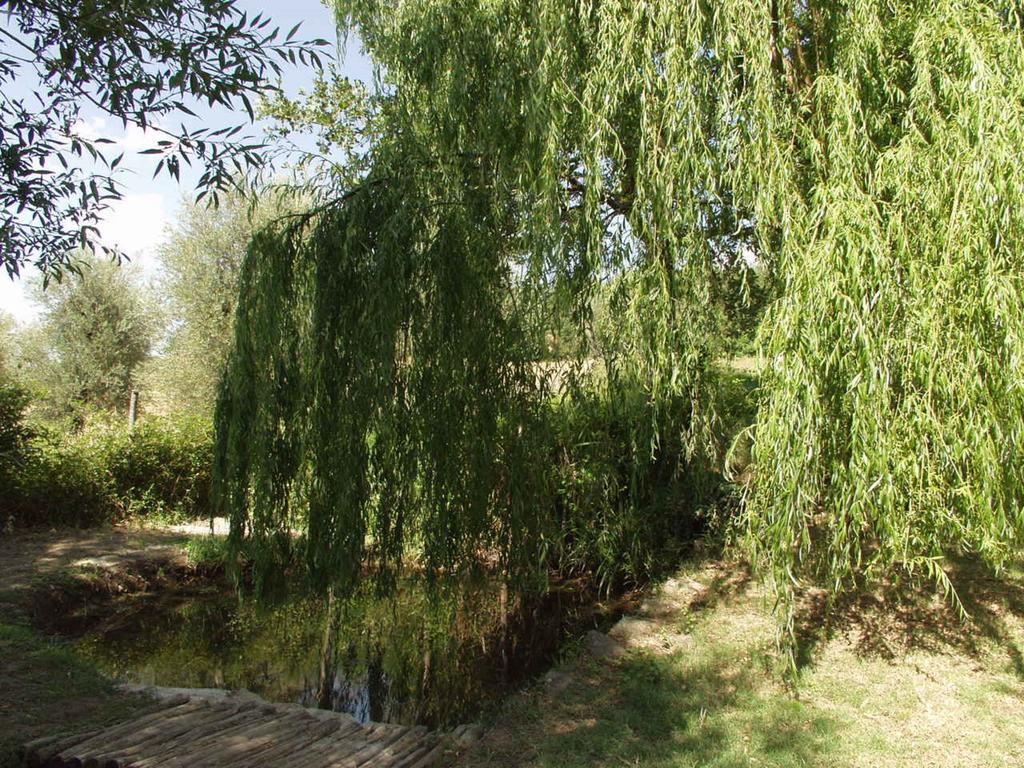 Antico Casale Pozzuolo Villa Seggiano Luaran gambar